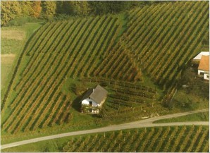 Familienbetrieb Weingut Johann Stocker, Weinbau Landwirt,